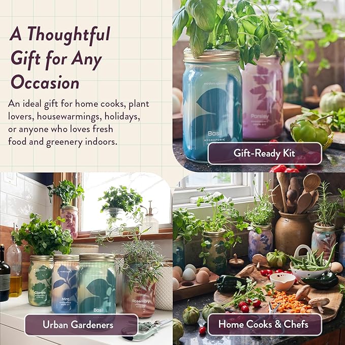 Modern Sprout Mason Garden Jar - Self-Watering Hydroponics Growing System Kit with Organic Herb Seeds - Jar Planter for Indoor Herb Garden - Seed Starter Kit - Home Decor & Gifting - Rosemary