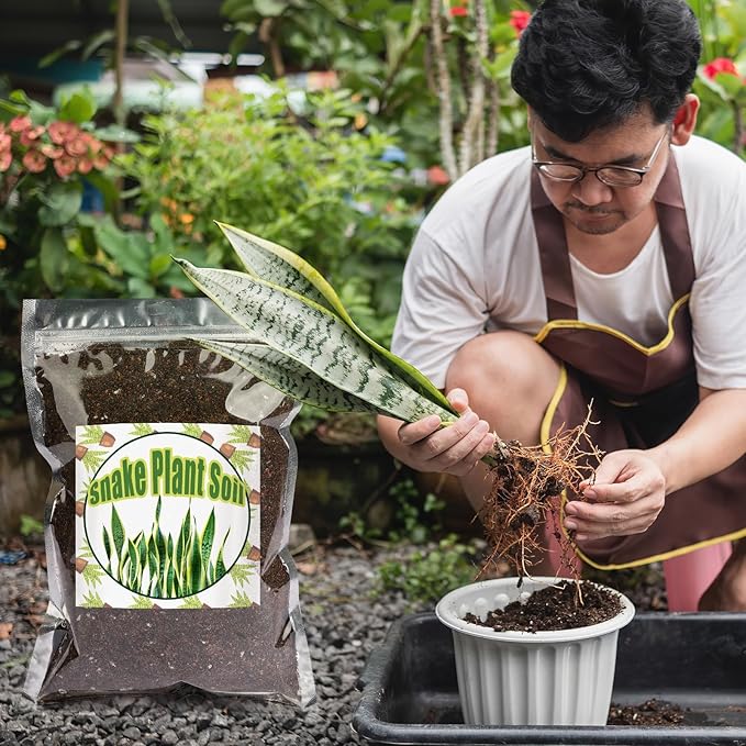 Doter Premium Snake Plant Soil Mix 10qt, Indoor Plants Potting Mix for All Potted Snake Plants, Promote Healthy Growth and Easy Care, black