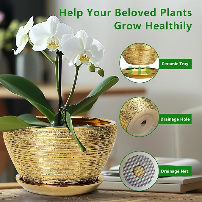 Ceramicfor Ceramic Plant Pot Indoor - 9 Inch Planters for Outdoor Plants Decorative Plant Pot with Drainage Hole and Saucer Round Planter Modern Flower Pot Decorative for House Decor Gold