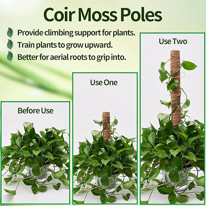 Eibikdi 8 Pcs Moss Pole for Plants Monstera, Plant Support Stakes for Indoor Climbing Plants Grow Upwards, with 65ft Twist Ties, 13ft Jute Rope, 6.5ft Hook-and-Loop Strip