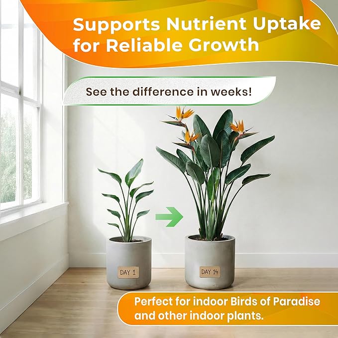 Professional Birds of Paradise Soil | Premium All Purpose Blend | Extra Large 8.2 Quarts | Ready to Use for Indoor Plants | Peat Moss, Coco Coir, Perlite, Dolomite