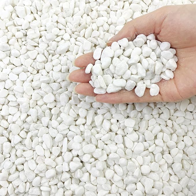 FANTIAN 10LB Natural Succulent Gravel Decorative White Rocks - 3/8'' Small White Pebbles for Plants, Decorative Stones, Succulent Rocks Pebbles for Planter, Aquarium Pea Gravel for Landscaping