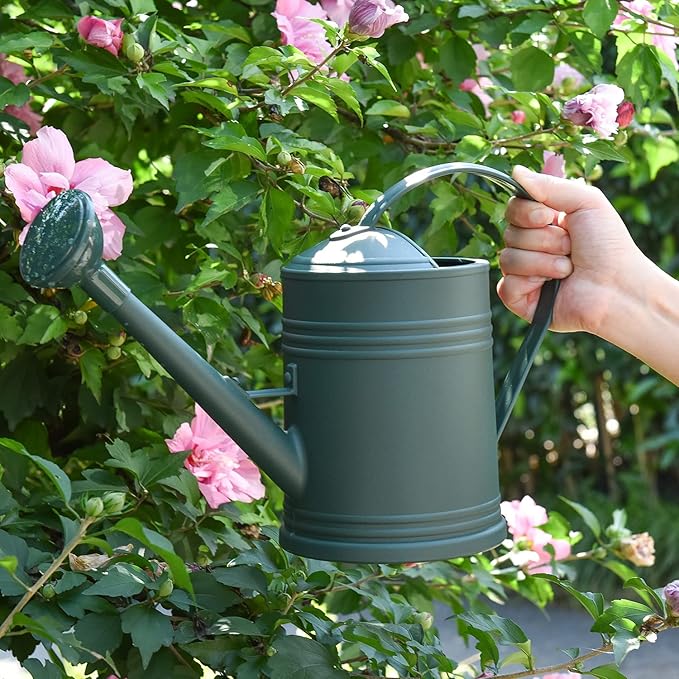 Plastic Watering Can for Indoor Plants Outdoor Garden Flowers - House Plant Watering Can with Sprinkler Head (1/2 Gallon, Green)