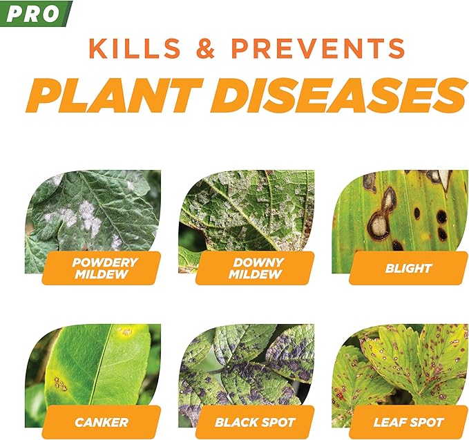 Earth's Ally Pro Disease Control Concentrate 2.5 gal. | Makes Up to 208 gals | Fungicide for Orchards, Food Crops, Ornamentals, Houseplants, Lawn & Turf