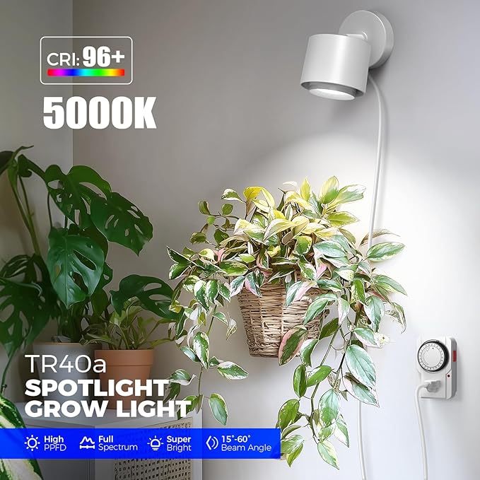 Barrina TR40a Track Grow Light for Indoor Plants, 40W Wall-Mounted Grow Bulbs with Adjustable Beam Angle (15°-60°), 5000K Full Spectrum Plant Spotlight with Timer & 16.4' Power Cord, 1-Pack