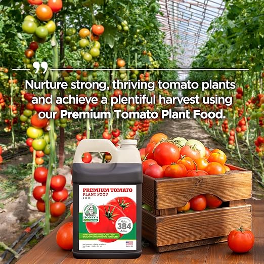PlantVantage Concentrated Tomato Plant Fertilizer – Liquid Fertilizer with Humic Acid & Zinc, Liquid Tomato Food for Strong Roots, Bigger Blooms & Higher Yields, Easy Root Feed or Foliar Spray – 1 Gal