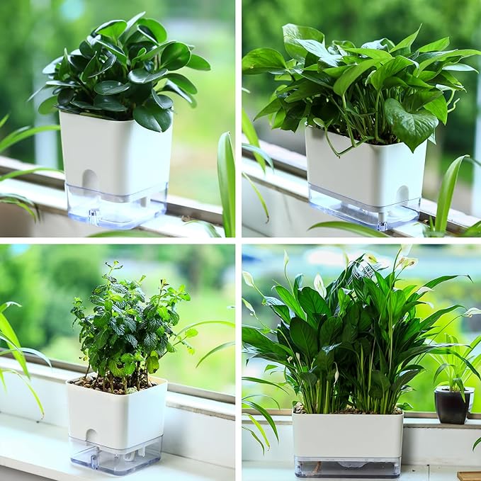 Planterhoma Self Watering Plant Pots for Indoor Plants 5.5 inch, 3 Packs Square Self-Watering Planters with Drainage Hole, White African Violet Pots for Devil's Ivy, Spider Plant, Orchid, Herb