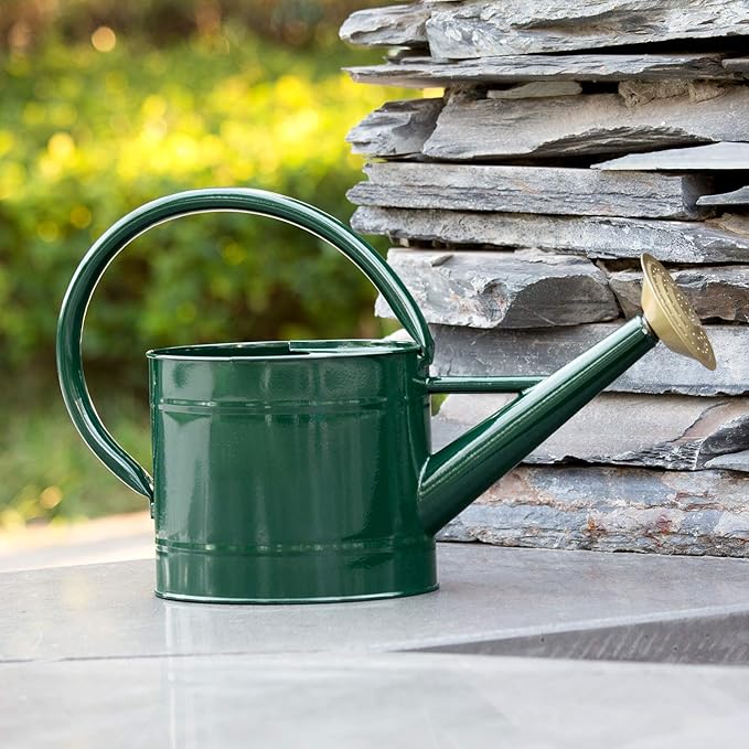 1.3 Gal Watering Can, Metal Watering Can with Removable Spout, Galvanized Water Can, Nice Plant Water Can for Indoor and Outdoor Use