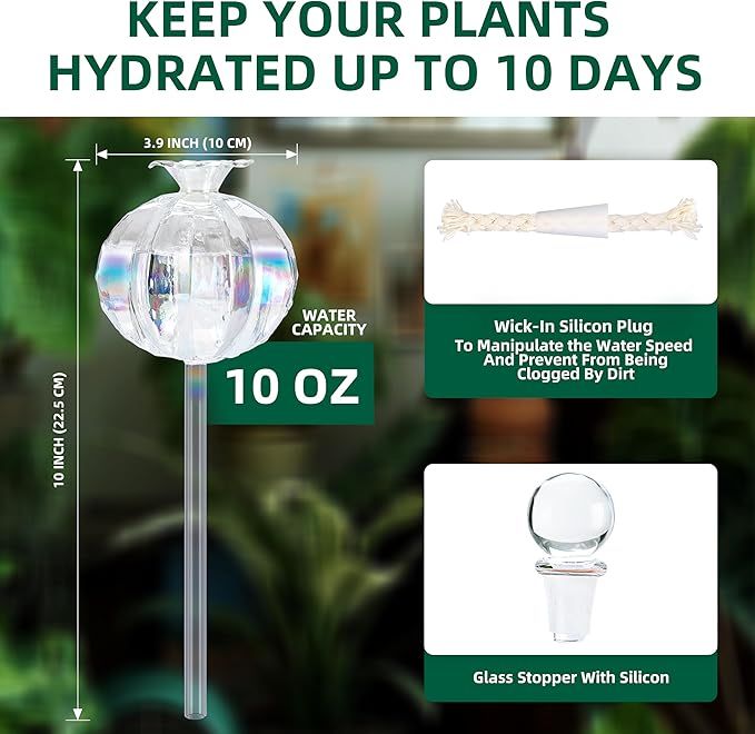 Soilagua 10 oz Large Top Fill Cactus Plant Watering Globes, Light Iridescent Glass Water Bulbs, Slow Release Self Watering Devices, Vacation Plant Watering System Self Watering Planter Insert, 4 Pack
