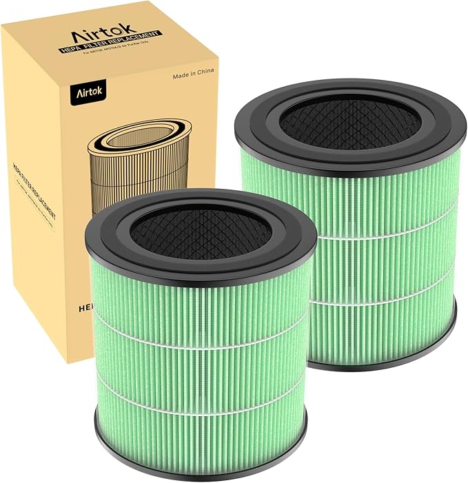 Air Purifier AP0601 Toxin Absorber Replacement Filters, 5-IN-1 High-efficiency HEPA Filter, 2 Pack, Green