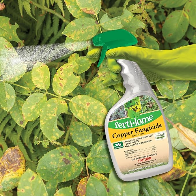 Fertilome (16136) Copper Fungicide Ready to Use, Controls Needle Blight, Blackspot, Powdery Mildew and More, OMRI Listed (32 oz.)
