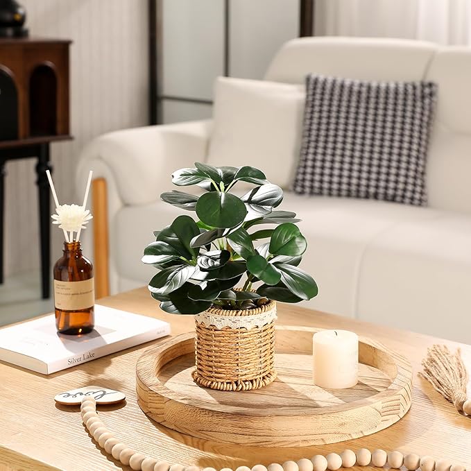 Nubry Fake Plants Artificial Potted Plants with Weaved Pot for Shelf & Table Desk | Perfect for Home Office Bathroom Farmhouse Room Coffee Table Decor 10‘’
