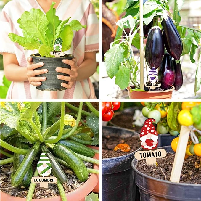 Huray Rayho Wooden Plant Markers for Garden, Funny Gnome Vegetable Labels Outdoor, Decorative Garden Stakes for Vegetables, Cute Plant Tags for Indoor Outdoor Garden, Gifts for Gardeners, 15 Pack