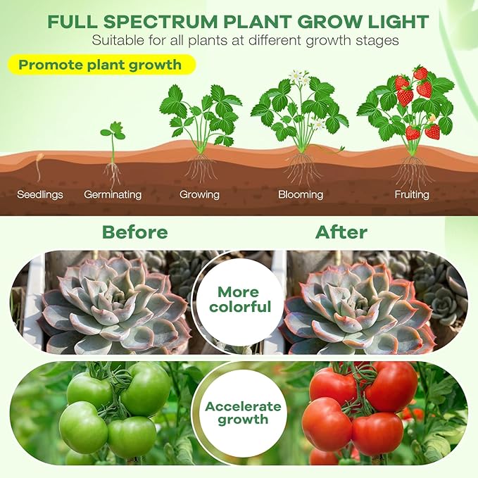 Led Grow Lights, 2 Heads Full Spectrum Plant Light with Clamp for Indoor Plants & Seed Starting, 10-Level Dimmable, Auto On Off, Timing 3 9 12Hrs