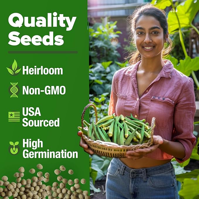 HOME GROWN Clemson Spineless Okra Seeds 202+ Heirloom Non-GMO Seeds for Planting, High Germination, Prolific Heat Loving Vegetable, Tender Pods, Easy to Harvest Home Garden (Abelmoschus esculentus)