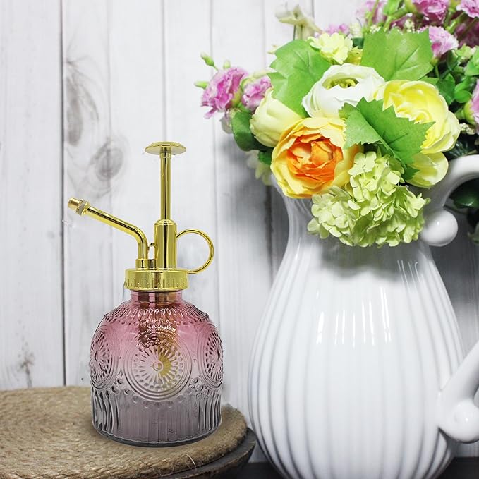 Glass Plant Mister Spray Bottle, 230ML Vintage Plant Spritzer, Succulent Watering Bottle Glass with Top Pump, Small Plants Sprayer Watering Can for Indoor Outdoor House(Red Gray)