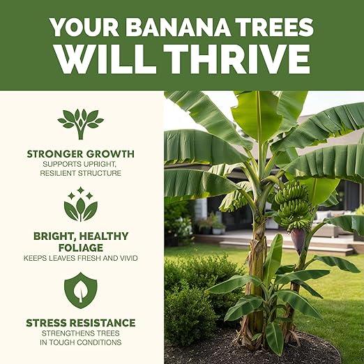 Banana Tree Fertilizer – Liquid Fertilizer for All Banana Tree Varieties, Supports Growth & Fruiting, 32 oz