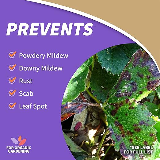 Neem Oil Fungicide Miticide Insecticide Conc