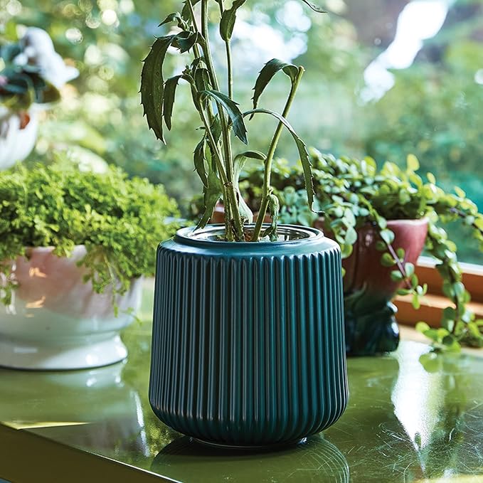 Modern Sprout Flower Grow Kit - Ceramic Planter with Indoor Hydroponics Growing System Kit Ideal for Living Room Decor - Unique Gardening Gifts - Daisy Daydream Self Watering Flower Planting Kit
