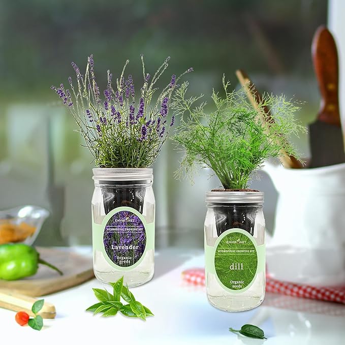 2-Pack Hydroponic Mason Jar Herb Garden Kit, Indoor Herb Garden Self-Watering Starter Kit, New Christmas Gift for Mom (Lavender,Rosemary)