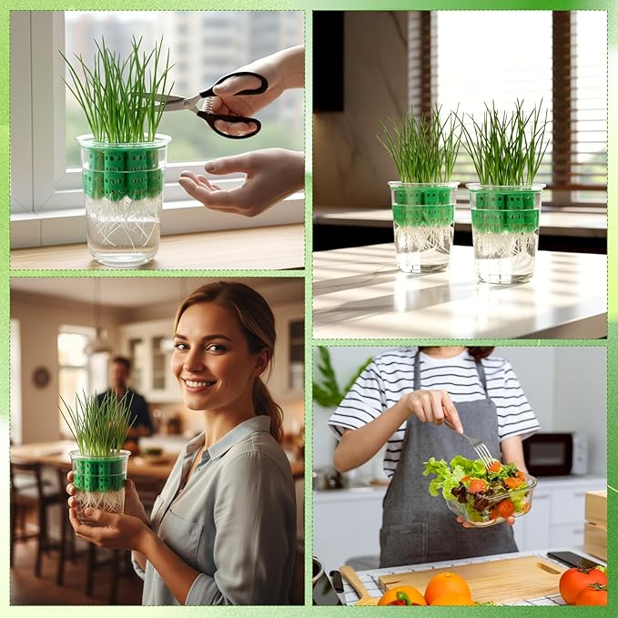 4 Pack Green Onion Planter Scallion Grower Seed Sprouting Kit Compatible with Regular Mouth Mason Jar for Windowsill Garden, Hydroponics, and Propagation Hydroponics Enthusiasts (Green)