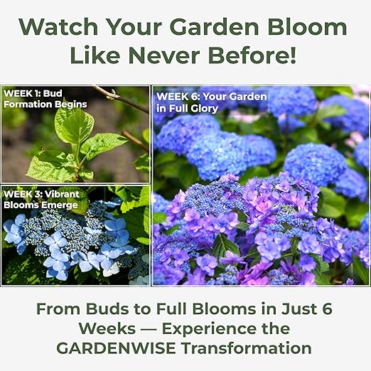 GARDENWISE Slow Release Hydrangea Fertilizer with Iron & Sulfur – Indoor & Outdoor Soil Acidifier for Miracle Growth (1 qt)