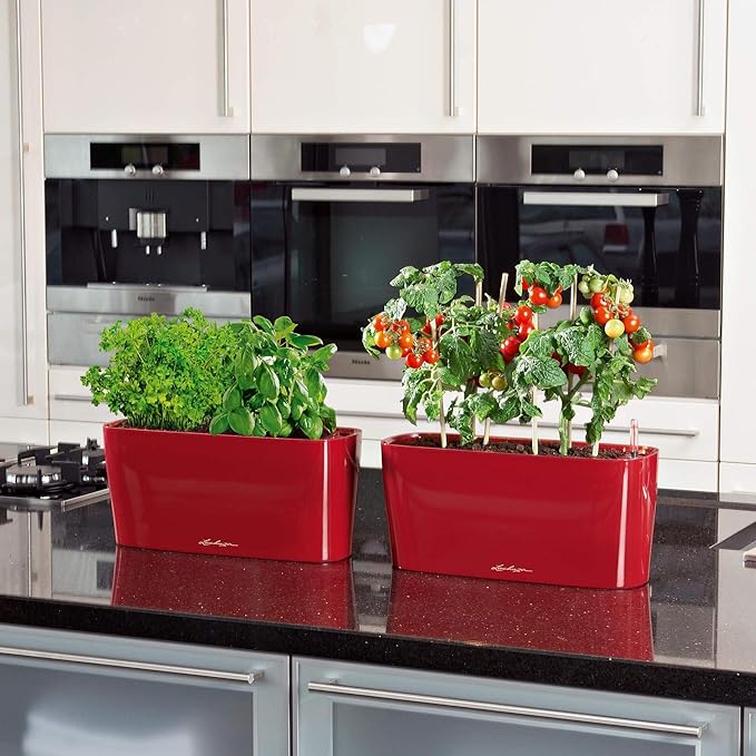 Lechuza Delta 20 Cream White High Gloss, Self-Watering Planter Indoor, H7.1 L15.7 W5.9 in