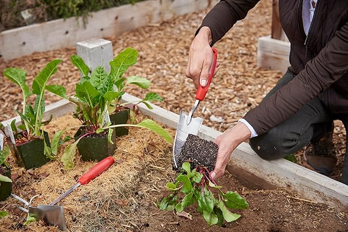 Corona Stainless Steel ComfortGEL Transplanter, red