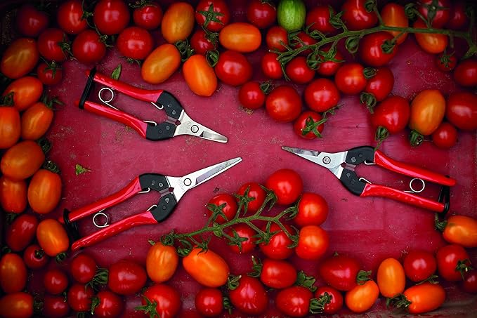 Felco F320 Pruning Snips – 6" Garden Clippers with Curved Blade & Rounded Tip | Pruning Shears for Gardening | Garden Snips and Pruners with Carbon Steel Blade, Sap Groove