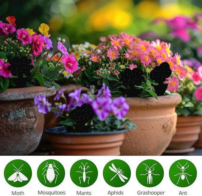 200 Pack Fruit Fly Sticky Traps for Indoor and Outdoor, Black Gnat Killers Sticky Traps for Mosquitos, Flying Insect for Protecting Plant