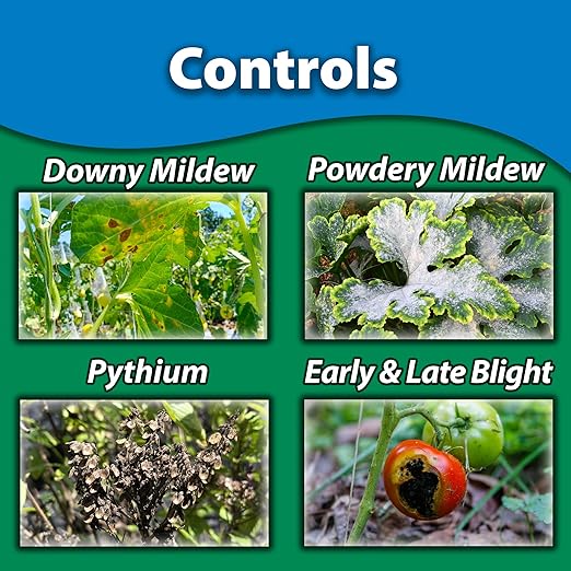 Monterey Complete Disease Control Bundled with Measuring Spoon - Fungicide & Bactericide for Control of Garden & Lawn Diseases - 32 oz RTS