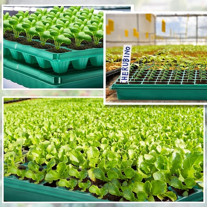20 Pcs Seed Starter Kit 72 Cell Seedling Starting Trays and 1020 Trays No Holes Plant Growing Nursery Pots for Gardening Germination Propagation (Green)
