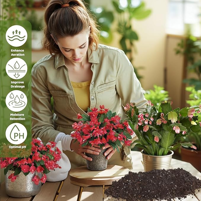 Doter Christmas Cactus Potting Soil Mix 2qt, Ideal for Succulents, Christmas Cacti, and Other Indoor Potted Plantings