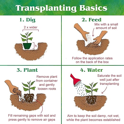 Down To Earth All Natural Fertilizers Organic Starter Mix - Plant Food for Starts, Transplants, New Gardens, Containers 3-3-3, 1 lb