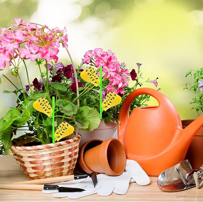Fruit Fly Traps, 60 Pack Yellow Stick Traps, Fungus Gnat Traps, Plant Fly Stickers for Indoor and Outdoor Use Protect The Plant