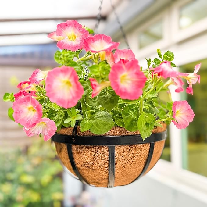 LaLaGreen Outdoor Hanging Baskets for Plants (12 Inch, 2 Pack) Medium Black Hanging Planters with Coco Liner, Metal Flat Iron Flower Pots for Deck Patio Porch Modern Garden Balcony Outside Decoration