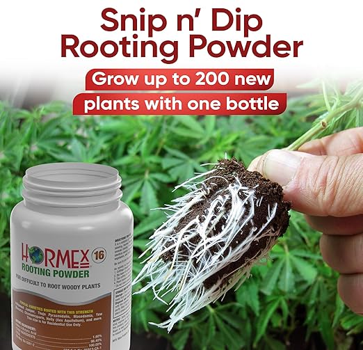 Hormex Rooting Hormone Powder #16 (1.60% IBA) for Difficult Hardwood Plants & Trees - Maximum Strength Root Stimulator, Growth Hormone & Root Booster for Woody Cuttings, Cloning & Propagation (2 Pack)