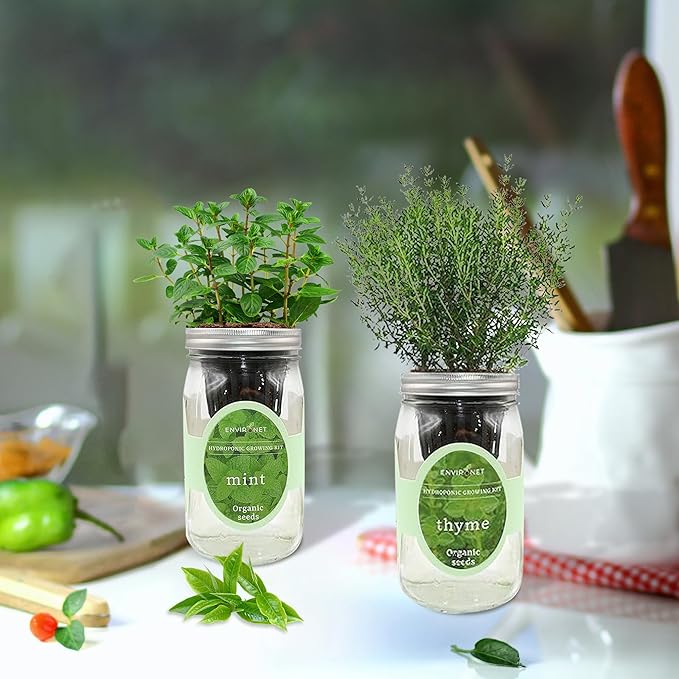 2-Pack Hydroponic Mason Jar Herb Garden Kit, Indoor Herb Garden Self-Watering Starter Kit, New Christmas Gift for Mom (Mint,Thyme)