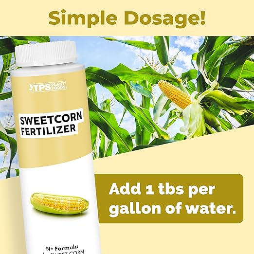 Sweet Corn Fertilizer – Liquid Plant Food for Bigger Ears, Vigorous Stalk Growth & Stronger Root Development, 8 oz