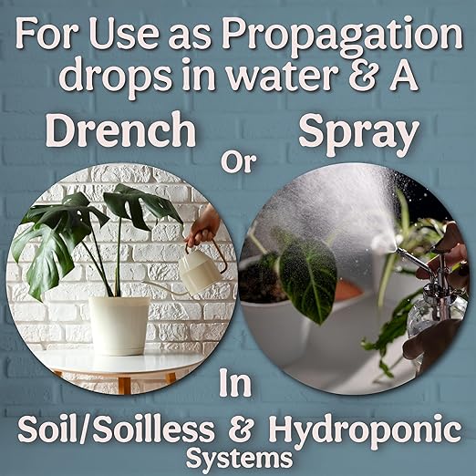 Organic Liquid Kelp & Seaweed Extract Prop Drop (Ecklonia Maxima) – Root + Plant Growth Hormone & Root Plant Food for Water Propagation, Hydroponics & Soil – 12oz 85 Gallons