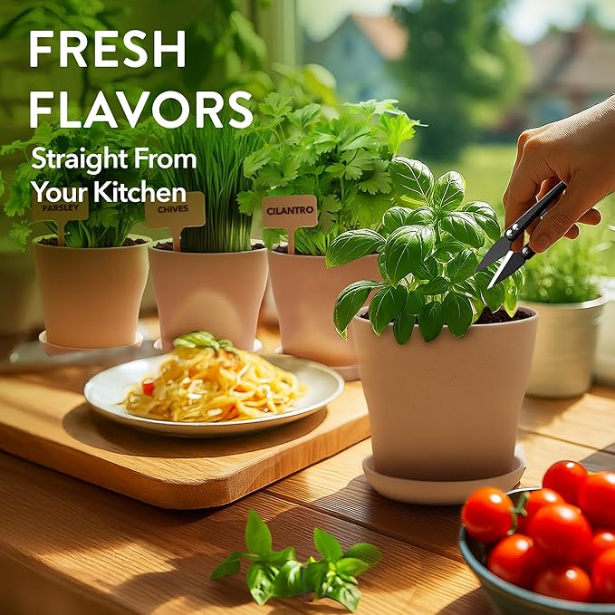 HOME GROWN Gift Herb Kit – 8 Herb Seeds Set with Basil, Cilantro, Mint & More & Herb Garden Planter Indoor Kit – Unique Christmas Gift for Adults, Men, & Women - Grow 4 Heirloom Herb Seeds