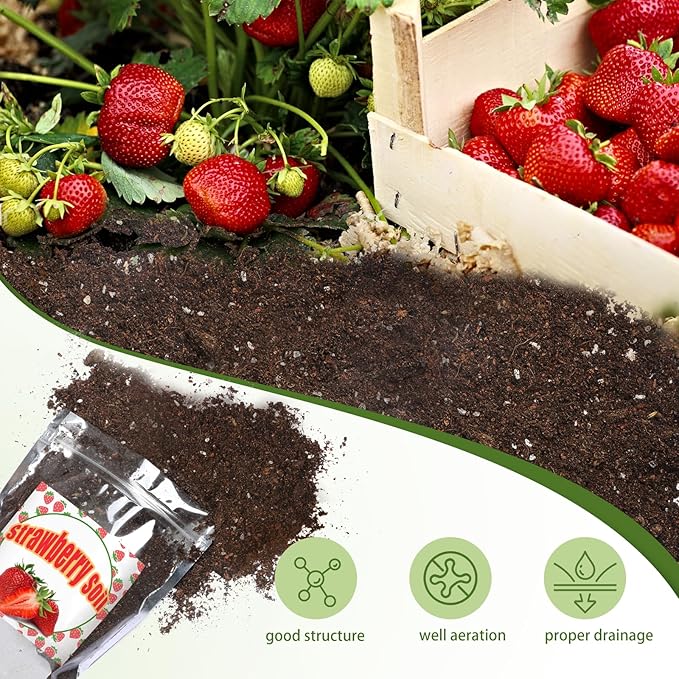 Doter Organic Strawberry Soil Mix 2qt, Indoor Plants Potting Mix for All Potted Strawberry, Grow Healthy houseplants Indoors