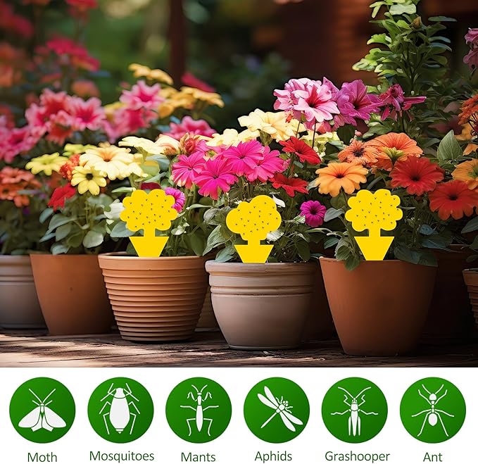 200 Pack Fruit Fly Sticky Traps for Indoor and Outdoor, Yellow Gnat Killers Sticky Traps for Mosquitos, Flying Insect for Protecting Plant