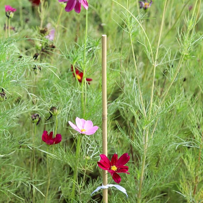 3ft Natural Bamboo Plant Stakes for Tomatoes, Beans, Flowers, Potted, Climbing Plants 30pcs