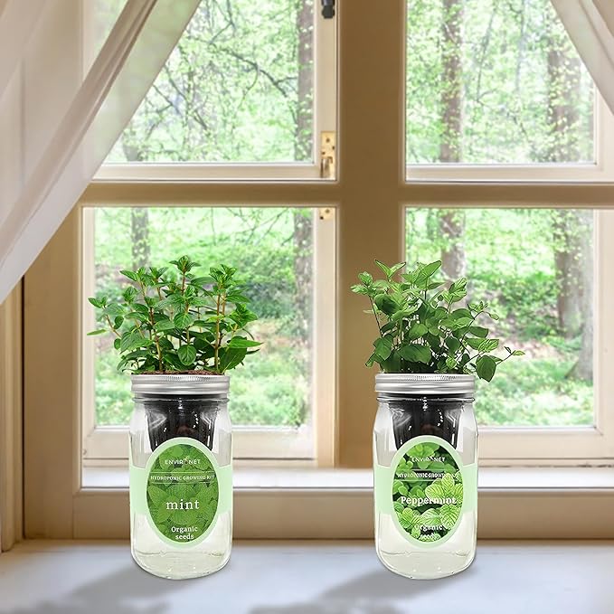 2-Pack Hydroponic Mason Jar Herb Garden Kit, Indoor Herb Garden Self-Watering Starter Kit, New Christmas Gift for Mom (Mint,Peppermint)