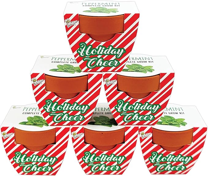 BUZZY Seeds Holiday Candy Cane Mini Terracotta Grow Pots, 6-Pack Peppermint Seeds, Indoor Plant Starter Kit, Stocking Stuffers, Party Favors
