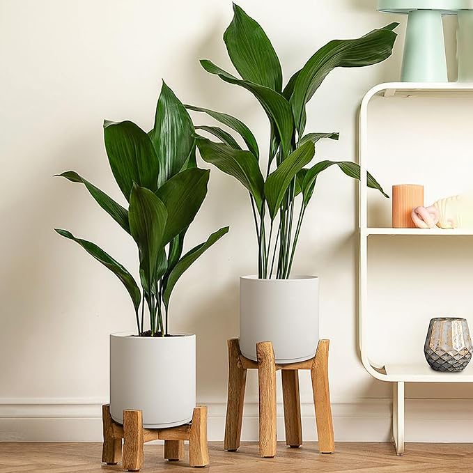 Giraffe Creation Cylinder Plant Pots 12/10/8 inch Set of 3, Modern Indoor/Outdoor Planter with Drainage Hole, Saucer & Water Reservoir, White