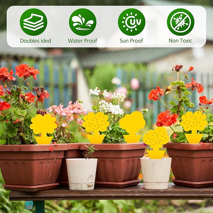 200 Pack Fruit Fly Sticky Traps for Indoor and Outdoor, Yellow Gnat Killers Sticky Traps for Mosquitos, Flying Insect for Protecting Plant
