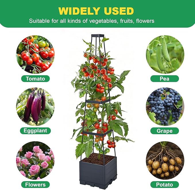 Raised Garden Bed, Tomato Cages for Garden, Garden Bed, Tomato Cage, Raised Garden Beds Outdoor, Planter Box with Trellis, 57" Self-Watering Tomato Planter for Climbing Plants Vegetables Flowers