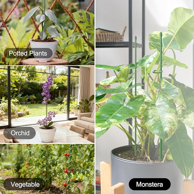 RIFNY Plant Stakes for Indoor Plants, 12 Inch Plant Support Stakes with Clips, Tall Adjustable Plant Sticks for Indoor Monstera Tomato Orchid Potted Plants Flower (6 PCS, Green)